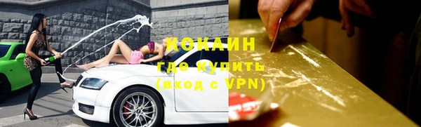 a pvp Горняк