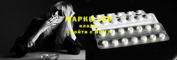 гидропоника Вяземский