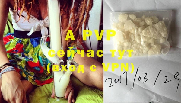 a pvp Горняк