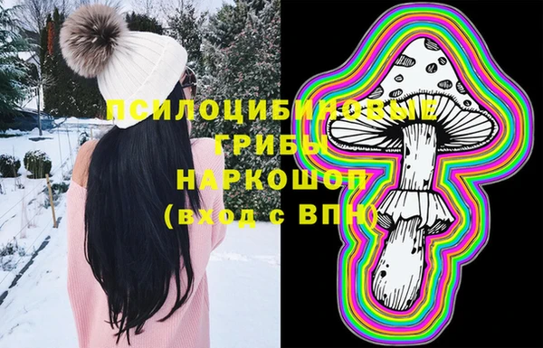 крисы Вязьма