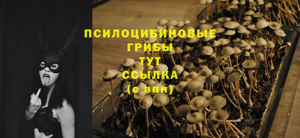 крисы Вязьма