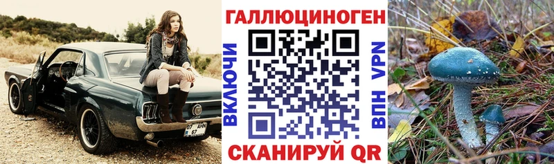 Галлюциногенные грибы мицелий  Купить где  Юрьев-Польский 